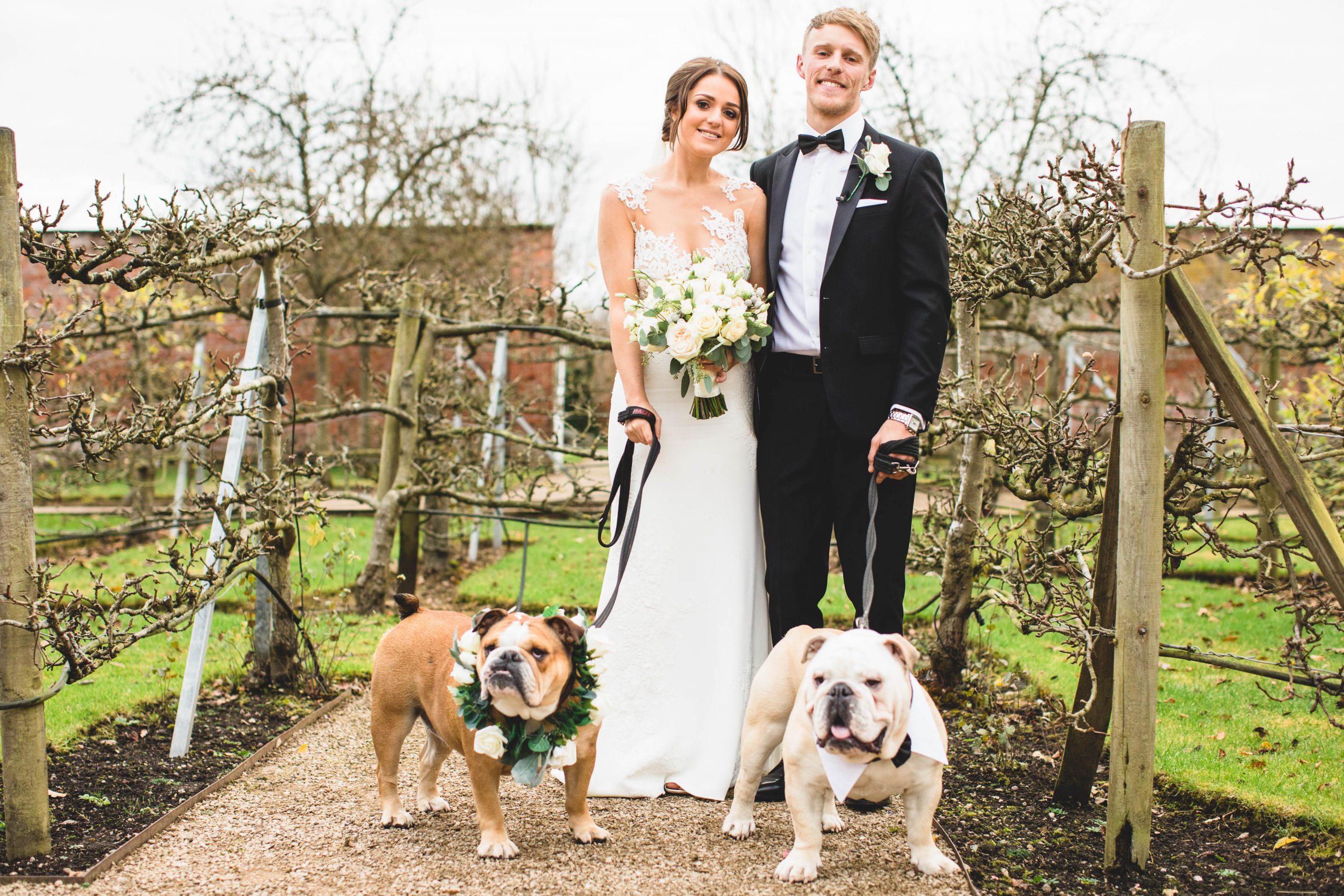 Bringing your dogs to weddings at Combermere Abbey