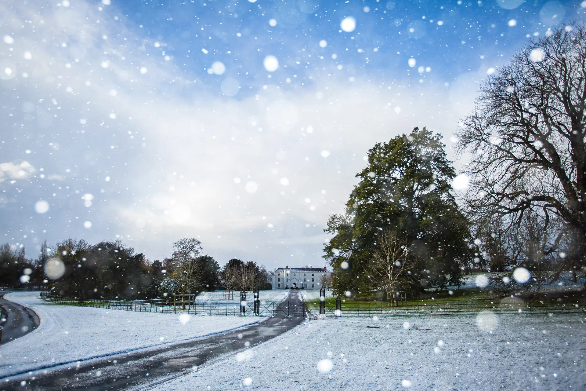 snow scene at combermere abbey