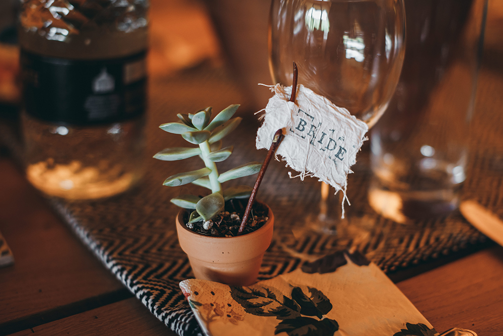 Autumn wedding succulents idea