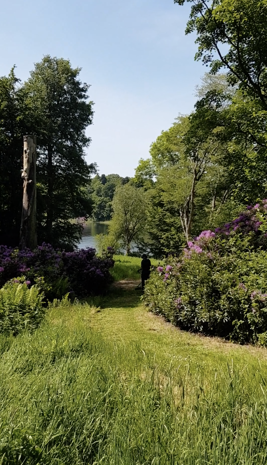 Woodland tending at Combermere Abbey