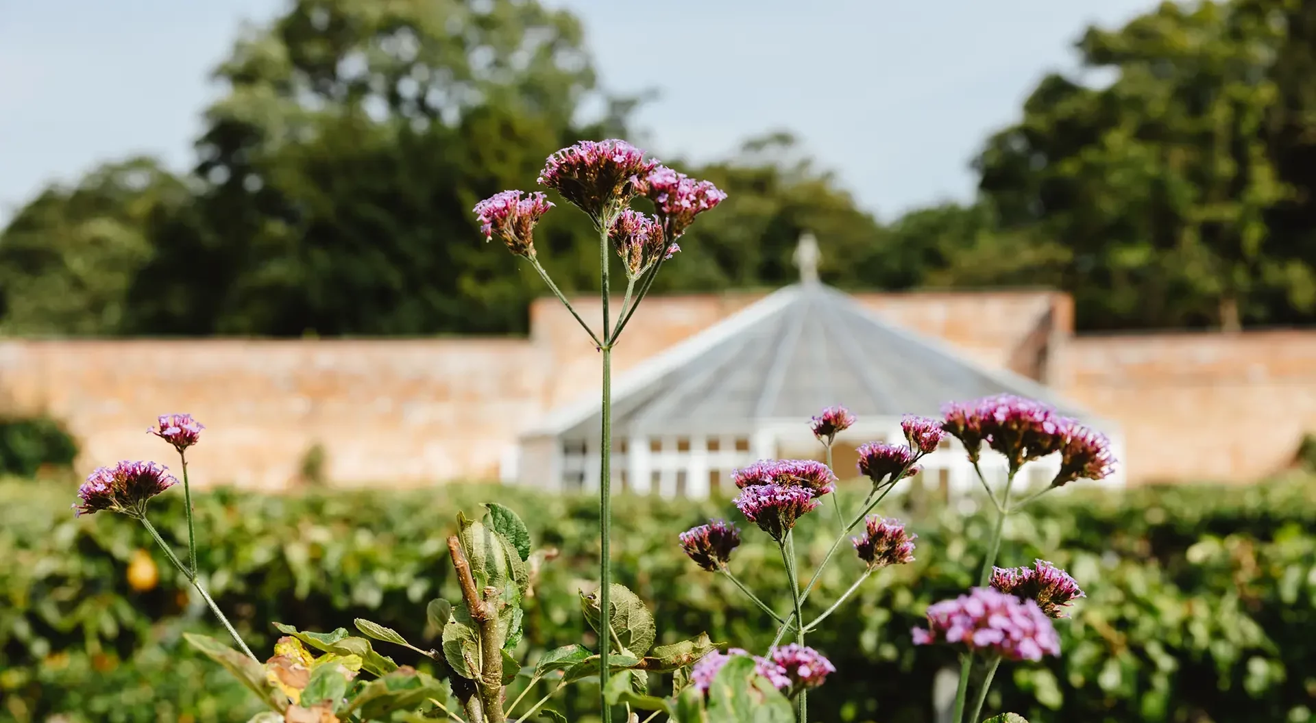 Combermere Abbey estate blog