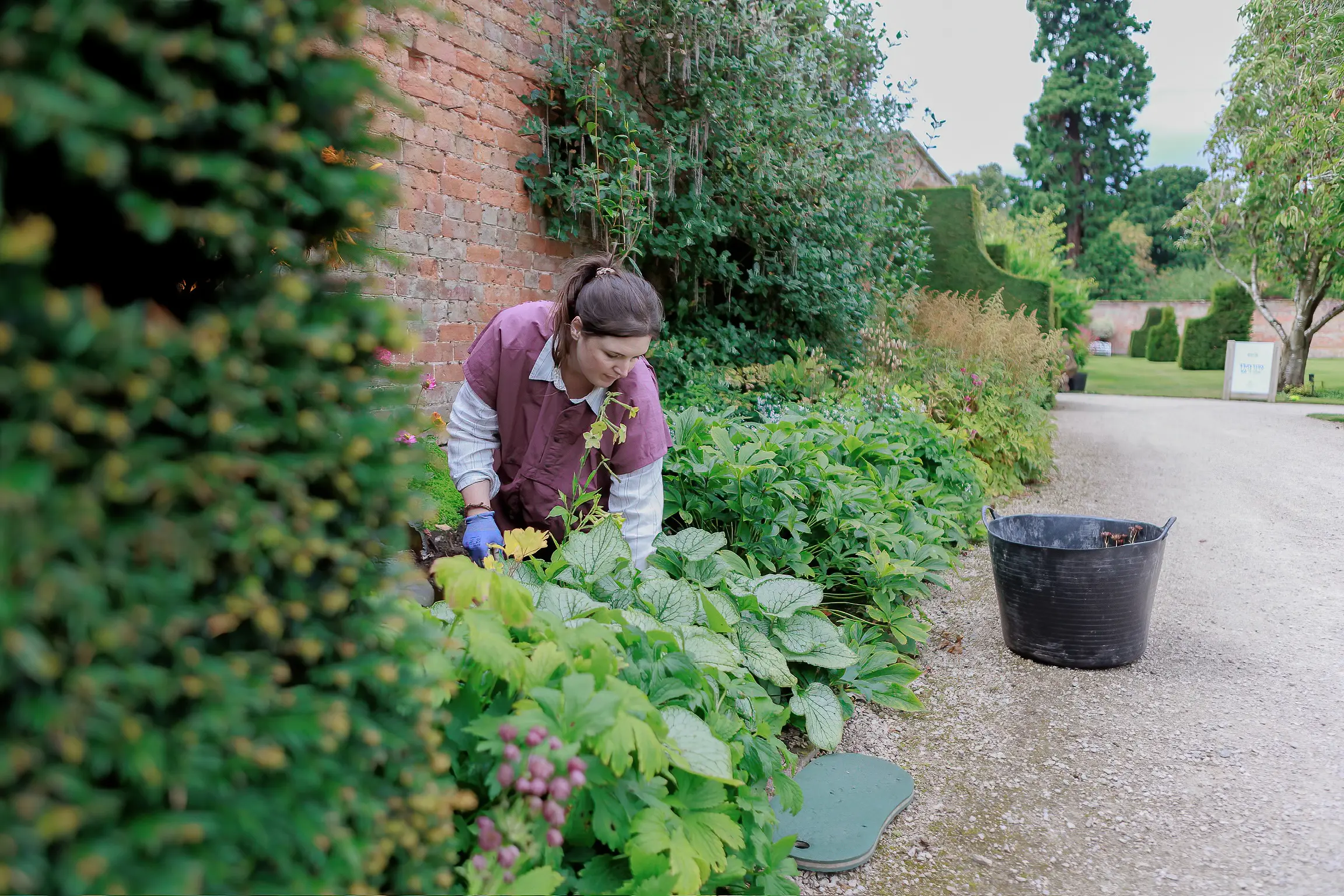 women in horticulture at combermere abbey