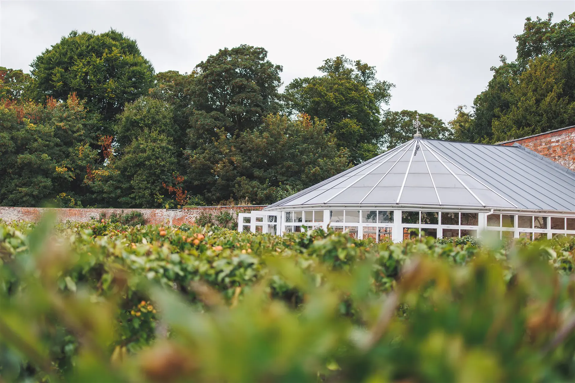 combermere abbey fruit maze and orangery