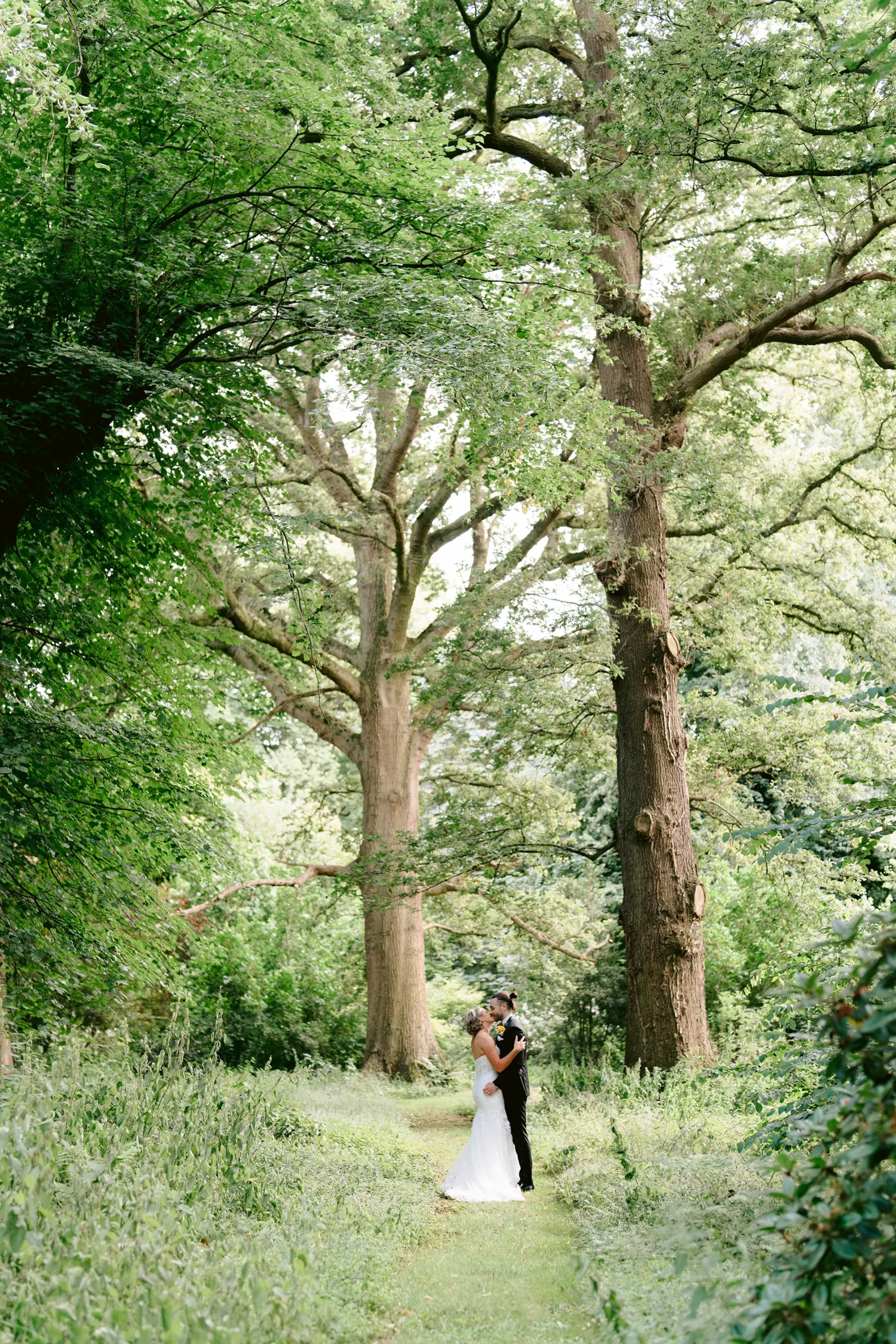 combermere abbey woodlands