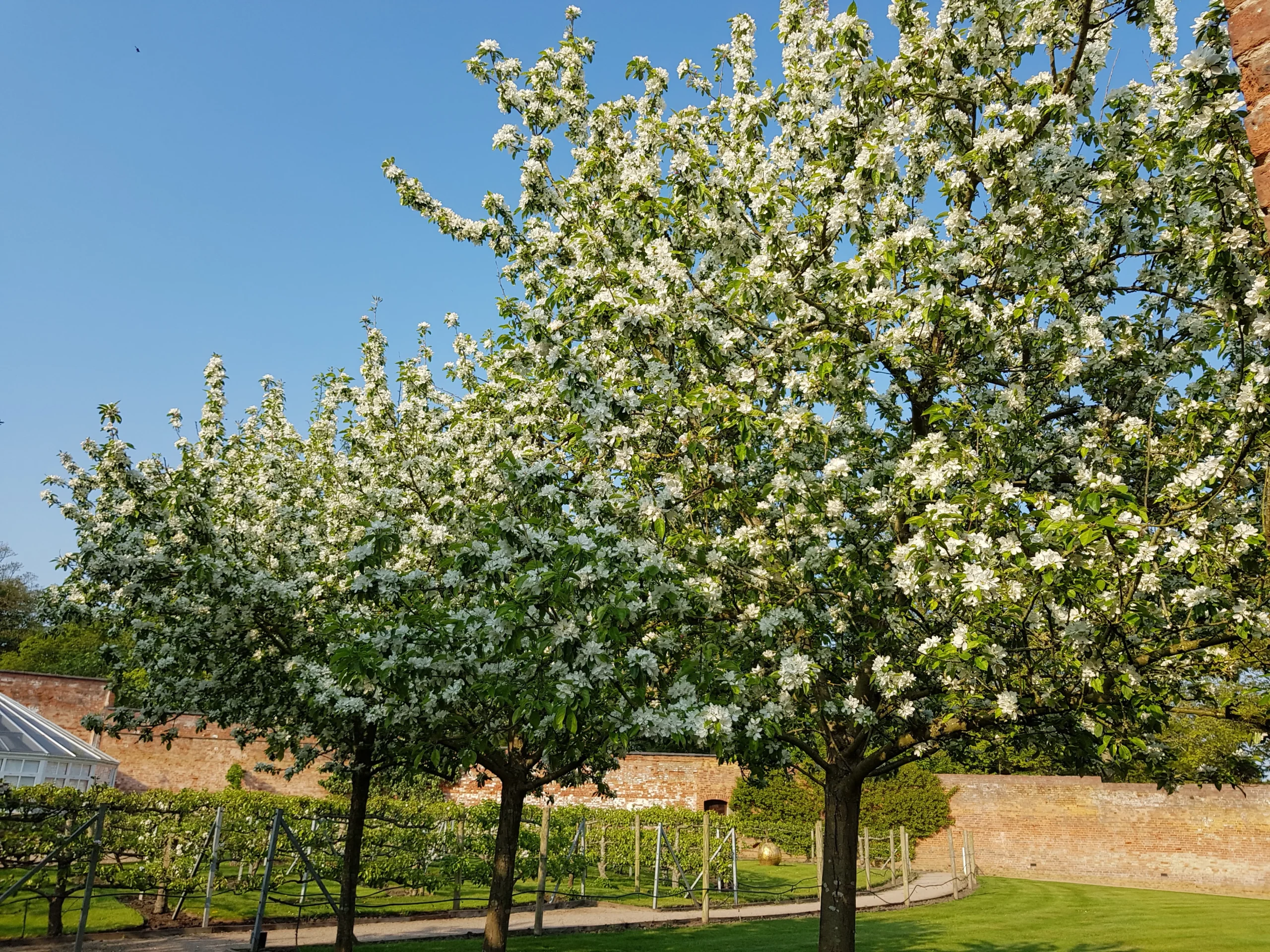 Comberemere_Abbey