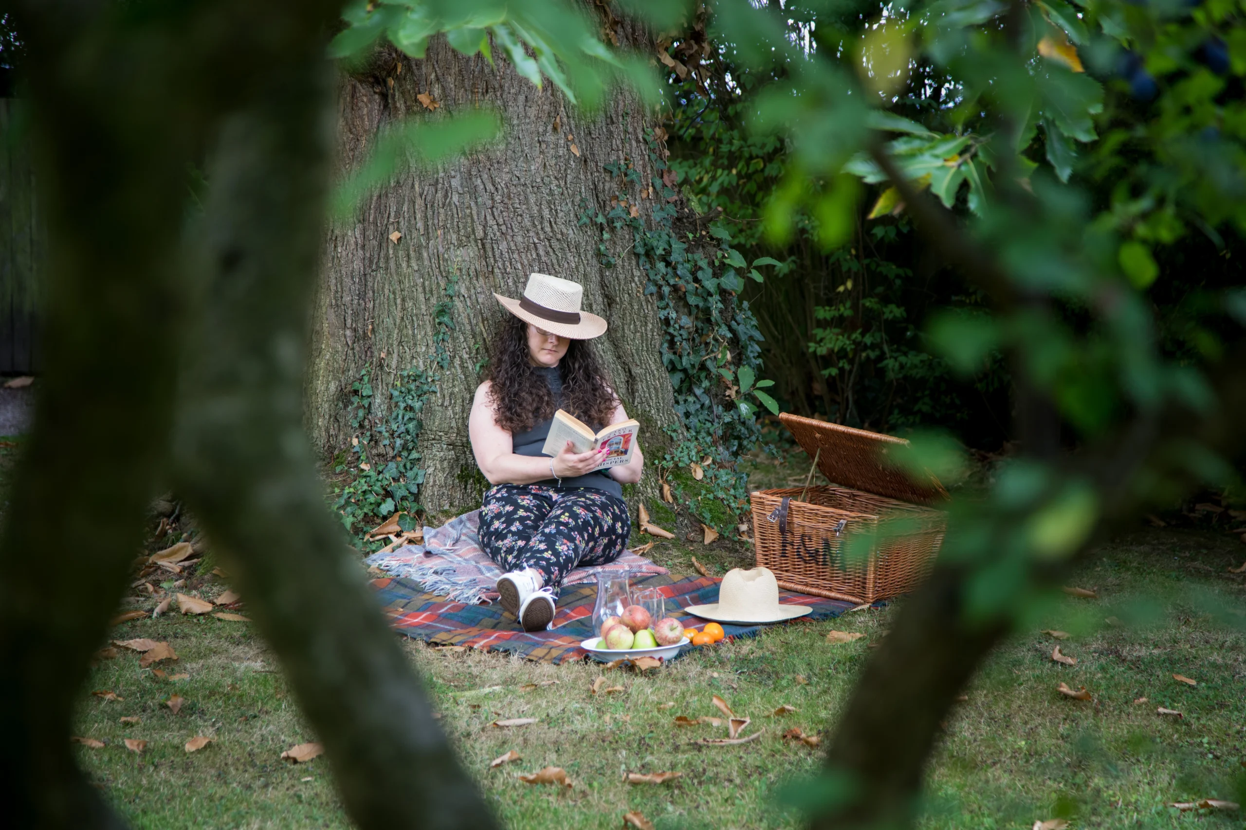 Helen_Baly_Picnic_image