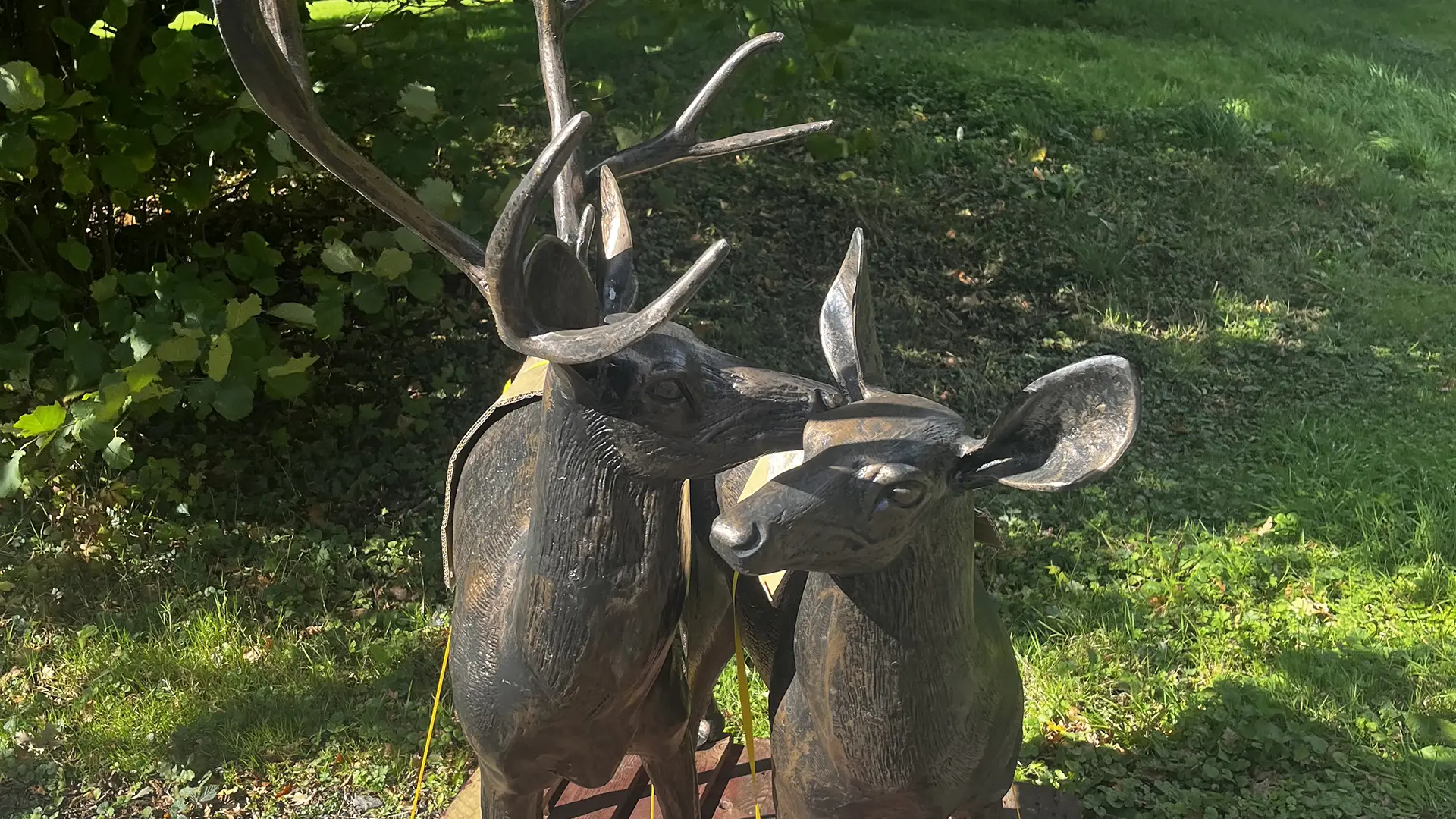 combermere abbey the bothy deer