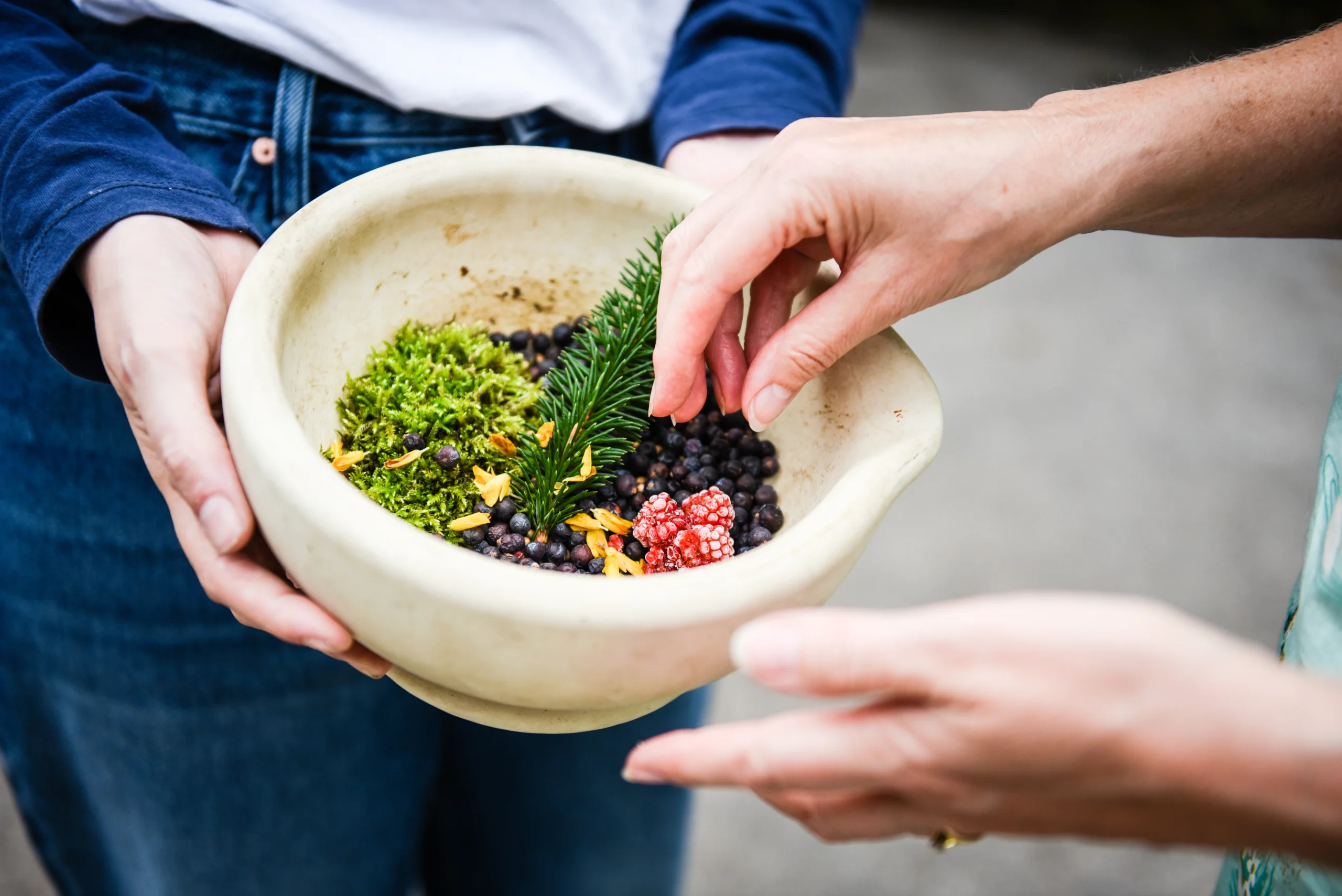 ForestGin©ForestDistillery