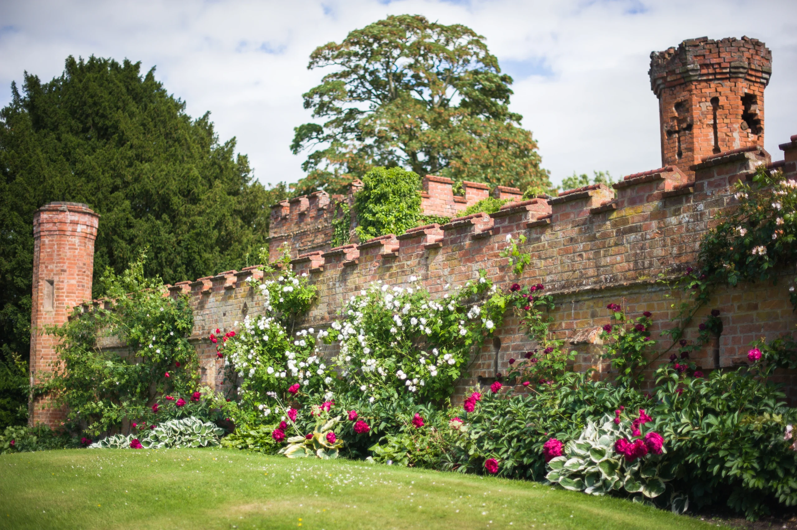 Roses_walled_gardens_krier_Photography