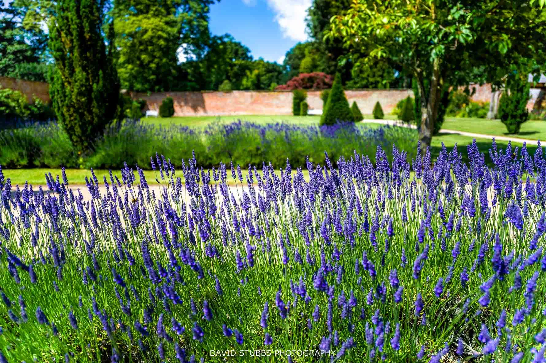 combermere_abbey_wedding_photography_david_stubbs