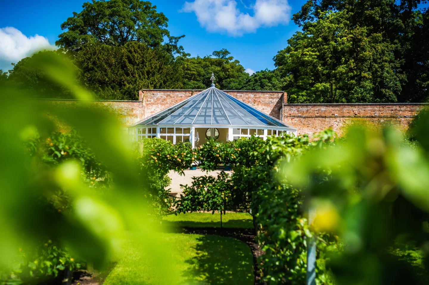 David_Stubbs_Photography_summer_combermere