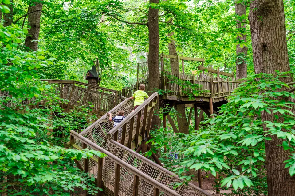 bewilderwood_cheshire