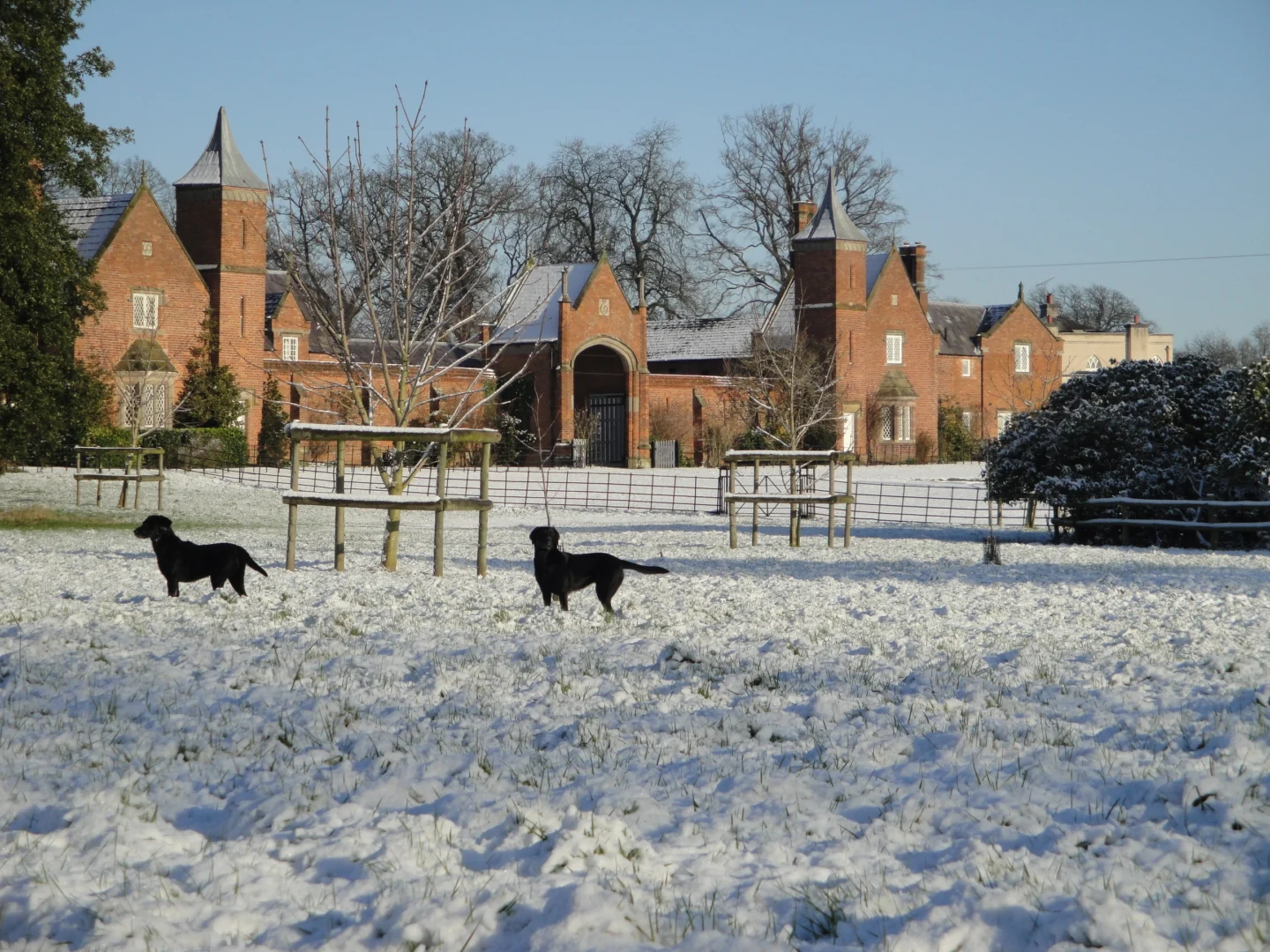 Cottages_winter_with_dogs_combermere