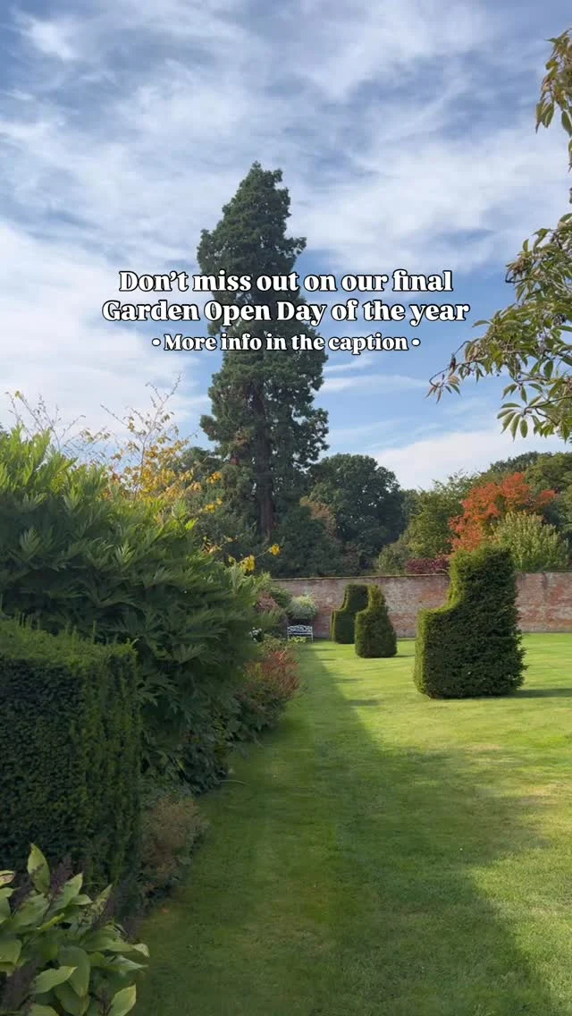 Following the wonderful turnout and great feedback from visitors over the summer, we’re delighted to open the gates once again for the last time this year to showcase Combermere Abbey’s gardens during their beautiful autumn transition 🍂

Join us on Tuesday 16th September, from 10am to 3pm, for this unique chance to wander through 10 acres of private gardens, woodland paths and the stunning Pleasure Garden, as the grounds come alive with seasonal colour.

Expect a warm welcome, along with a plant stall, refreshments, toilets and free parking on site. 🧁

Tickets are limited and always go quickly, so don’t miss the chance to experience acres and acres of gardens at this special time of year. 

Book now via our website https://combermereabbey.co.uk 

We’re looking forward to welcoming you.

#CombermereAbbey #GardenOpenDay #CheshireGardens #AutumnInCheshire #WalledGarden #FruitTreeMaze #HistoricHomesUK #GardenLovers #CombermereGardens #ExploreShropshire #ShropshireDaysOut #ShropshireWalks