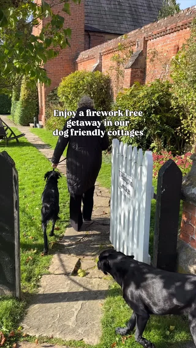 Bonfire Night is NOT a friend to dogs, but a stay in any of our lovely Courtyard Cottages is a firework free zone and the perfect place to retreat to with your four-legged friend away from the noise?
Book in a last-minute, firework-free getaway in the rural borderlands of Cheshire and Shropshire.  Our dog-friendly Courtyard Cottages offer the perfect place to relax, explore, dine in dog friendly local pubs and enjoy some calm. No bangs, no stress, just fresh air, country walks and great local food. 🍂
We have limited availability, so book your escape now and treat yourself (and your pup) to the calm you both deserve.
📅 1-night stays available
📍 Book via the link in bio | Subject to availability
#CombermereAbbey #DogFriendlyStay #FireworkFree #BonfireNightEscape #LastMinuteGetaway #PetFriendlyCottages #PeacefulRetreat #CheshireShortBreaks #ShropshireShortBreaks
📸 Elise Evans