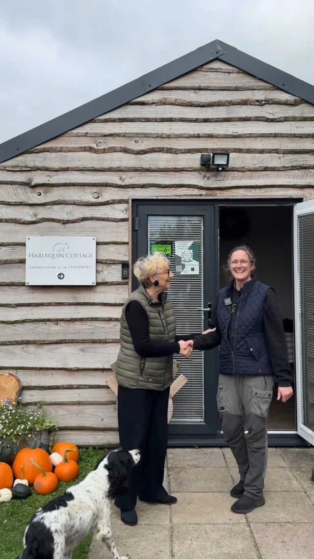 In our latest local heroes interview, Sarah chats with Emily from Harlequin Cottage. A remarkable sustainable food producer only 3 miles from Combermere, which is built on passion, purpose and a deep connection to the countryside with a small-scale farm shop jam packed with goodies.

With farming in her veins, and a very surprising former life, Emily along with husband John and her mother,  has created a space where fresh, local food is at the heart of everything.

You’ll hear all about her vision, the joy of working on a smaller scale, and how every product on the shelves tells a story. From free-range meat and eggs to homemade jams and carefully chosen local produce, Harlequin Cottage champions the kind of food that feels close to home.

Hear how the fallen heritage apples from Combermere give her pigs a 5* snack.. adding to the delicious taste of her meats.

It’s a concept that Sarah absolutely loves, and we think you will too. Be sure to pay them a visit when you stay at Combermere!

#CombermereAbbey #HarqinCottage #FarmShopFinds #FieldToFork #CheshireLife #LocalProducers #CountrysideLiving