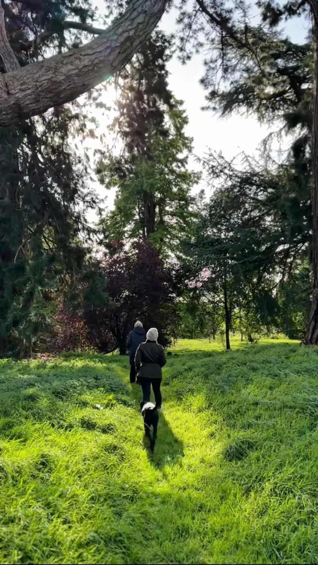 At Combermere, sustainability is not a trend. It is a long-term commitment rooted in respect for the estate, its wildlife, and the generations yet to experience it. From encouraging slower, more mindful travel to creating space for guests to stay, walk, and simply be without leaving the grounds, every choice is made with intention.

It was one of the defining reasons Sarah returned to Combermere. A belief that land should be protected, not consumed; cared for, not rushed through. That green space matters. That stillness matters. And that how we travel, walk, and spend time within a landscape shapes its future.

Because true progress doesn’t come from doing more. It comes from doing better.

To watch Sarah’s interview with the @americancountess visit her YouTube channel or follow the link below for a short snippet:
‌ https://www.instagram.com/reel/DTGk21TjxAe/?igsh=YmZiNTBrdHM0NTh0