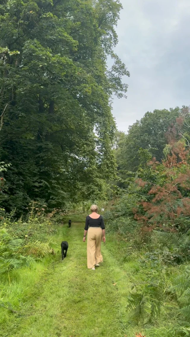 In this month’s Gardener’s View, Head Gardener John shares the story of Combermere Abbey’s ongoing programme of propagating from their ancient oaks.

From the 600+ year-old oak that still stands proudly in the grounds, to the Wellington Oak planted in 1820 to mark the Duke of Wellington’s visit, these trees are living chapters of Combermere’s history. Even the Tudor Study oak screen in the North Wing B & B traces its roots back to trees planted in the 1300s, later used in the construction of the Tudor house between 1538 and 1561.

John also gives an update on the next generation of young oaks grown from estate acorns, now strong enough to be planted out into the wider parkland. Carefully protected and nurtured, they form part of a long-term commitment to preserving the landscape of the estate for years to come.

Here at Combermere we continue to innovate thoughtfully, sustainably, and in ways that respect the land and those who walk upon it.
