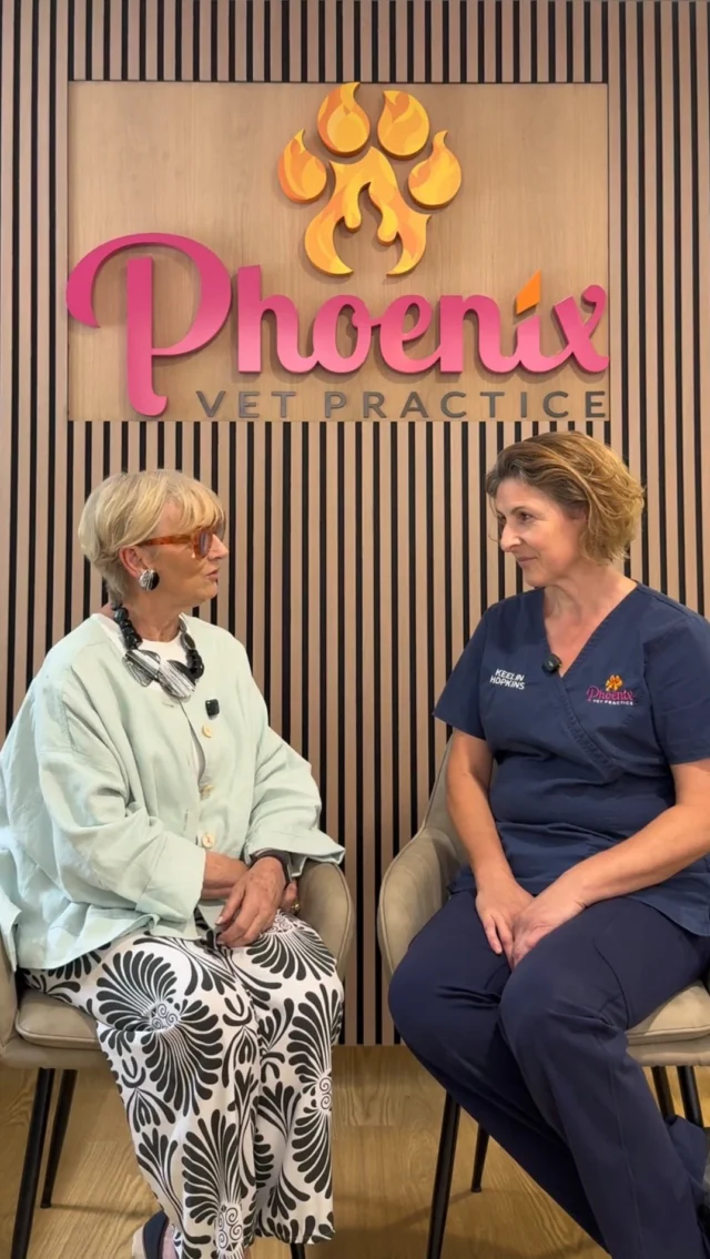 In the latest episode of Local Heroes, Sarah visits the newly opened @phoenixvetpractice in Nantwich to meet Director Keelan and hear the story behind the independent practice, their commitment to exceptional veterinary care, and why supporting the local community sits at the heart of everything they do.

We’re also delighted to welcome the Phoenix Vets team to Combermere Abbey’s Autumn Family Dog Walk on Sunday 11th October, where they’ll be judging our friendly Dog Show following a beautiful 2-mile woodland walk through the estate.

🐾 Dog Show starts at 2pm. Entry is £2 per dog, per class, with bookings available at the ticket desk on arrival.

Classes include:
🐶 Prettiest Girl
🐶 Handsomest Boy
🐶 Best Pup (under 1 year)
🐶 Golden Oldie (over 10 years)
🐶 Waggiest Tail
🐶 Young Handler
🐶 Best Rescue

The winners of each class will go head-to-head in our Best in Show finale.

📅 Sunday 11th October
🕛 12pm–4pm
📍 Combermere Abbey Estate
🎟️ Adults £5 | Under 16s £2.50
🐕 Dog Show entry: £2 per class (payable on the day)
☕ Refreshments available

Book your tickets via the link in our bio. Online bookings close 48 hours before the event, with tickets also available to purchase on the day.

For more info visit our bio/below:
https://combermereabbey.co.uk/abbey-estate-tours/autumn-dog-walk/
