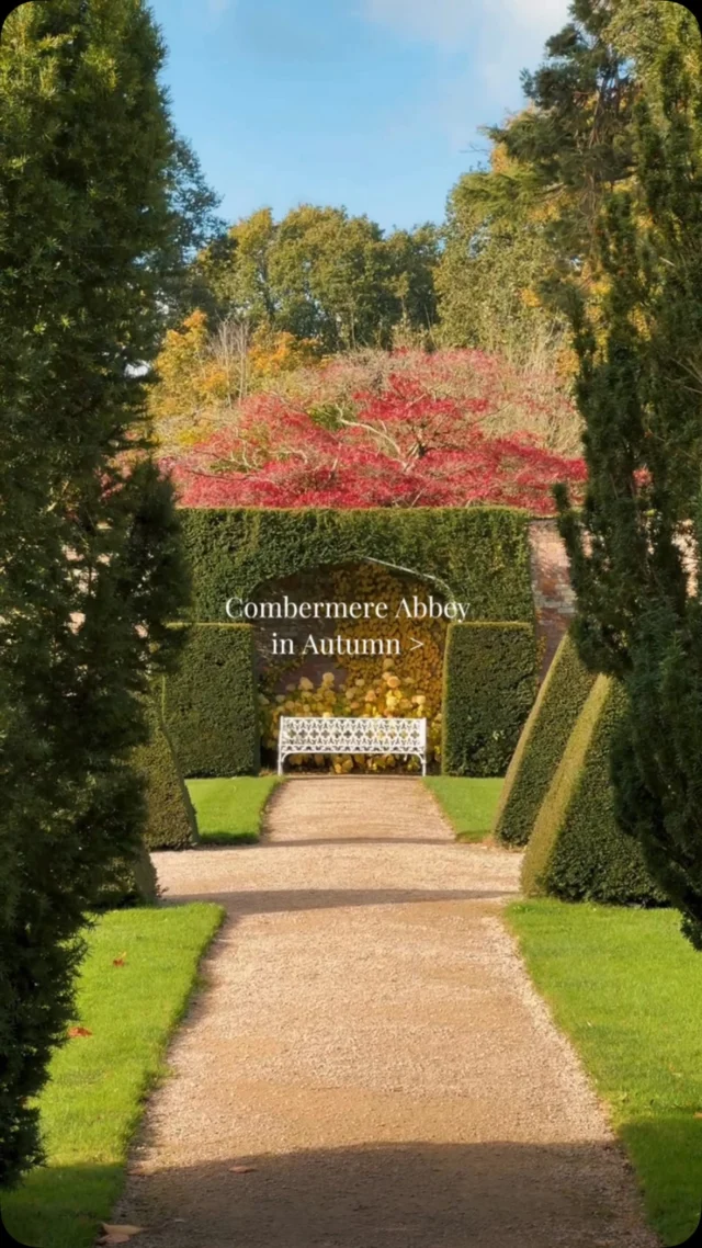 Dreaming of an autumn wedding? 🍂

There’s no better time to experience the magic of Combermere Abbey, with acres & acres of beautiful Cheshire countryside transformed into a sea of autumnal colours.

Why not make a weekend of it? Stay in one of our award-winning cottages, explore the surrounding countryside and discover everything this beautiful corner of Cheshire has to offer.

Fall in love with Combermere Abbey this autumn. 🤎

Book your wedding showround and overnight stay on our website, head to the link in our bio.

#autumnwedding #weddingvenue #cheshirewedding #ukwedding #weddingvenues