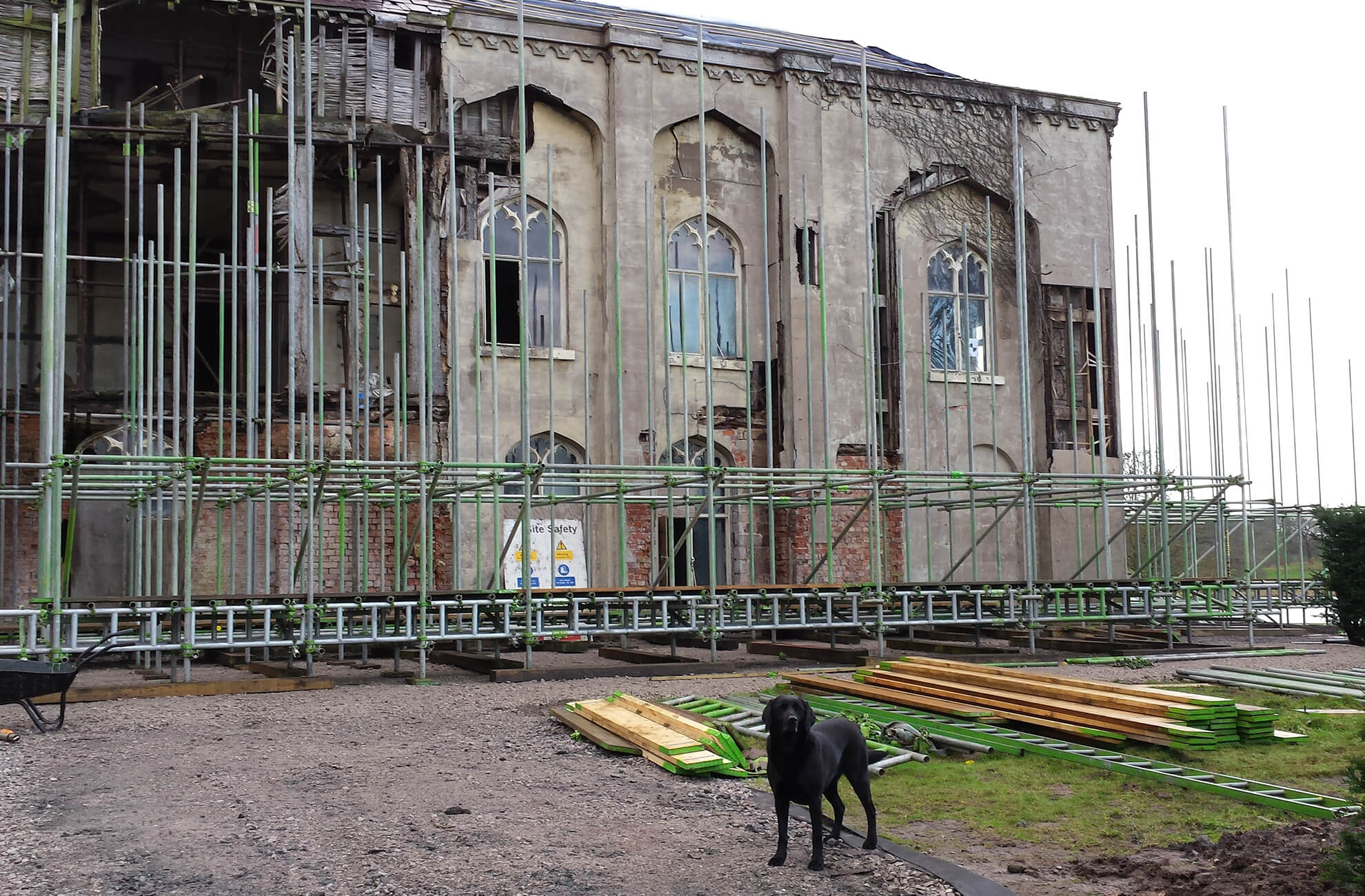 A black Labrador stands in front of restoration work on Combermere Abbey in Cheshire